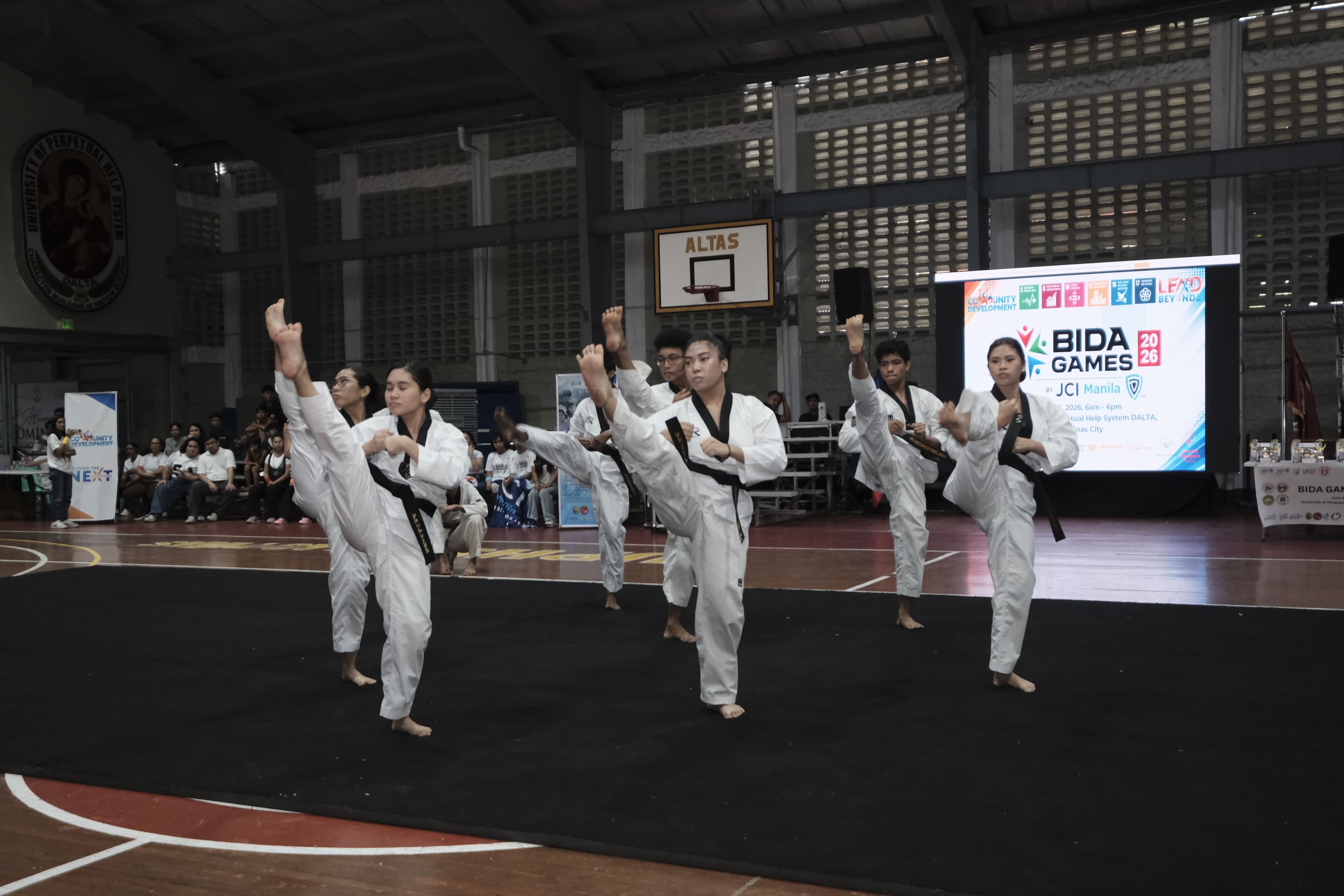 The Taekwondo Team