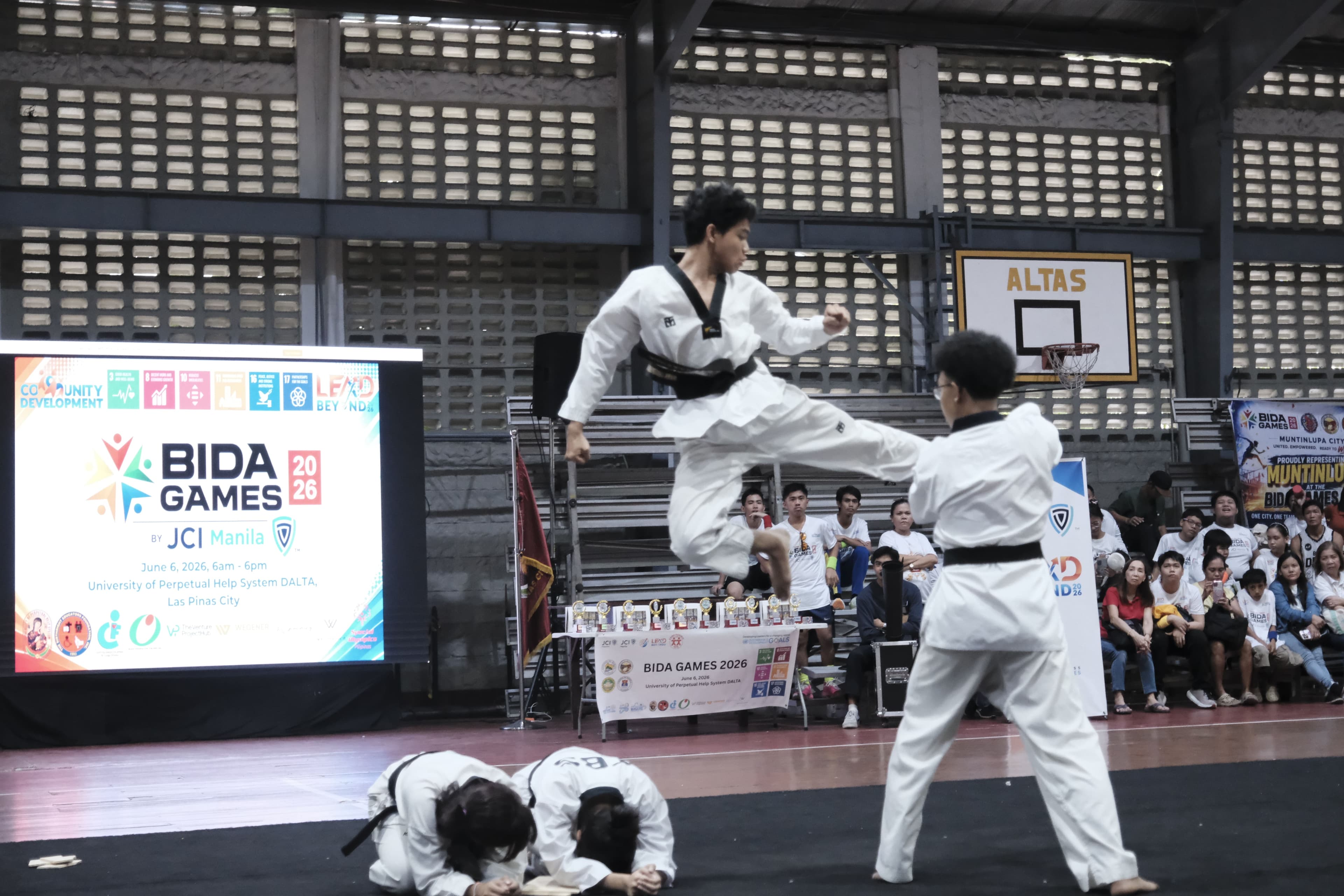 Taekwondo Demonstration
