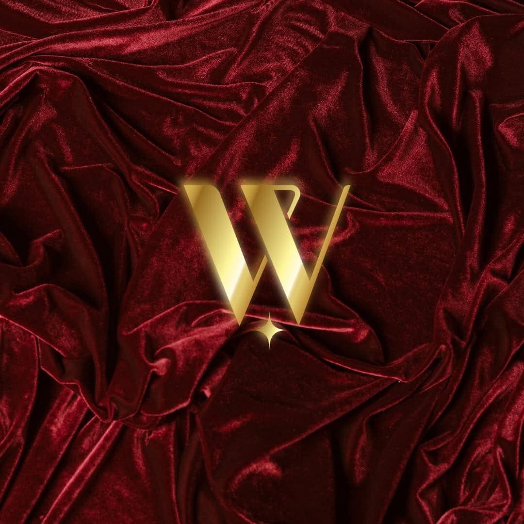WSouthMNL logo